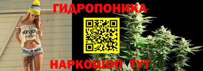 a pvp Усть-Илимск