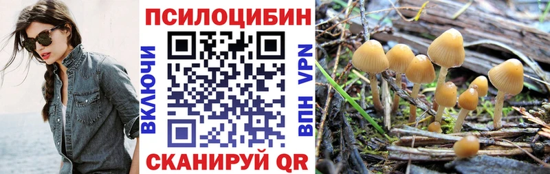 Псилоцибиновые грибы Cubensis  hydra маркетплейс  Махачкала 