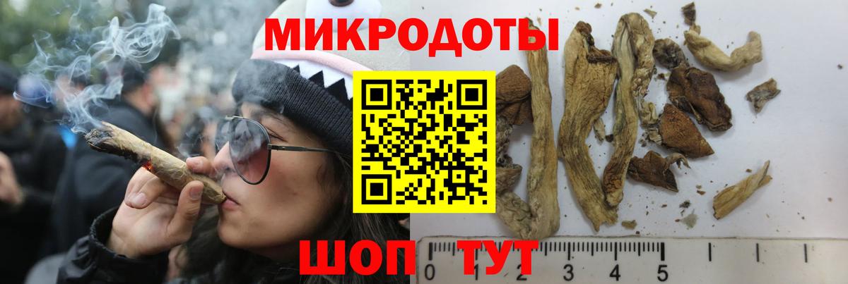 Галлюциногенные грибы GOLDEN TEACHER  Вход с VPN  Махачкала  Галлюциногенные грибы Cubensis 