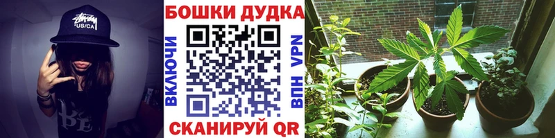 кракен как зайти  купить наркоту  Махачкала  Марихуана планчик 